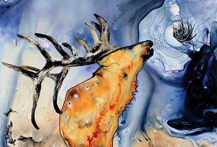 Elk looking at moon