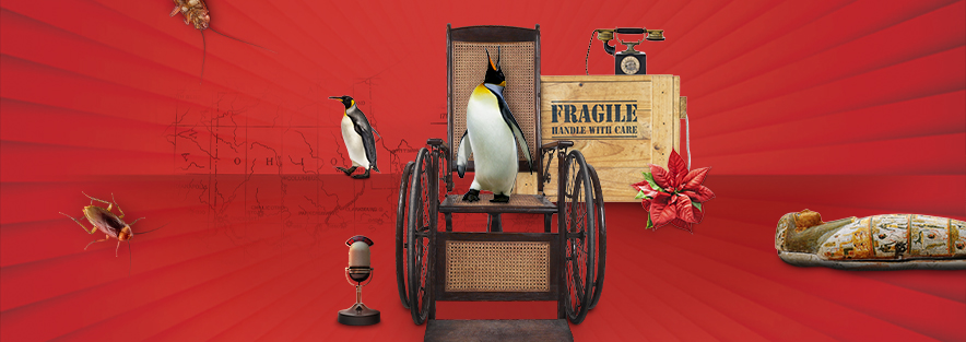 Promotional image for “The Man Who Came to Dinner” featuring a wheelchair, penguins, and quirky objects on a red background